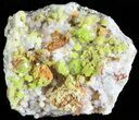 Pyromorphite Crystals on Quartz - China #63688-1